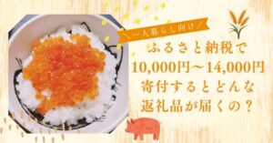 一人暮らし向け！10,000円～14,000円の寄付でいただけるおすすめ返礼品！